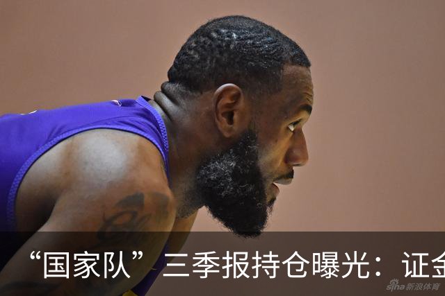 “国家队”三季报持仓曝光：证金重仓中国神华，社保基金增持中金岭南