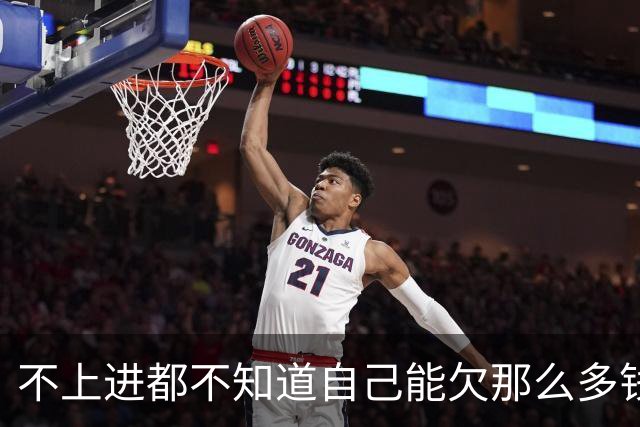 不上进都不知道自己能欠那么多钱，网友：越努力越负债
