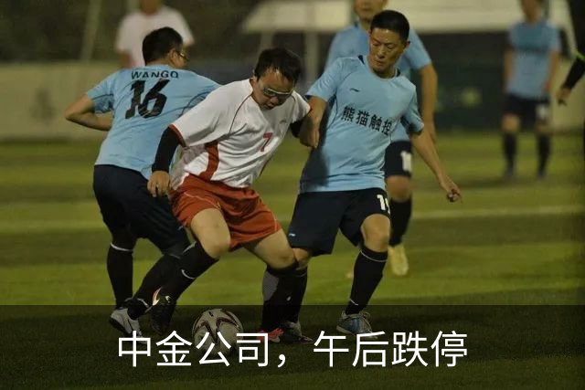 中金公司，午后跌停