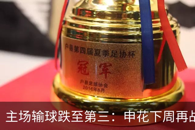 主场输球跌至第三：申花下周再战町田，究竟该改什么？
