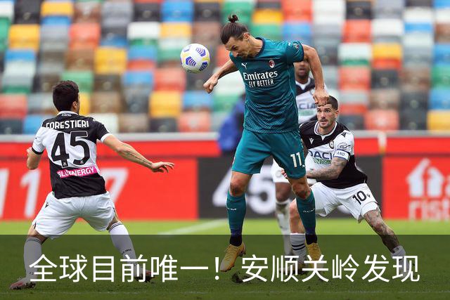 全球目前唯一！安顺关岭发现