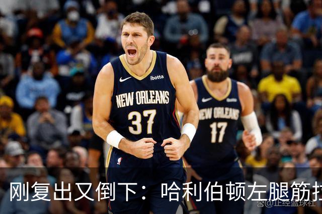 刚复出又倒下：哈利伯顿左腿筋拉伤，至少缺阵两周