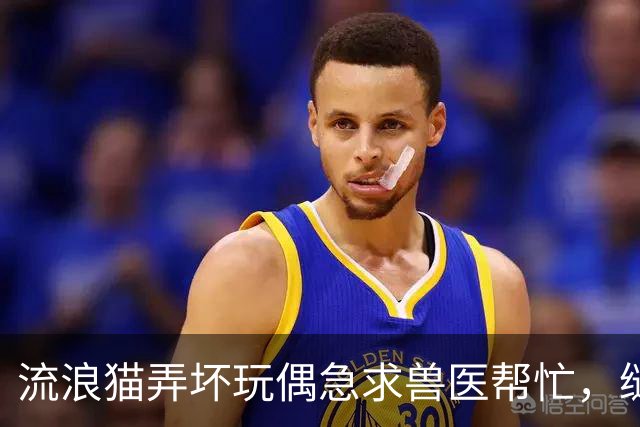 流浪猫弄坏玩偶急求兽医帮忙，缝补进行中它全程陪护，眼神满是担忧：快救救我的好朋友！