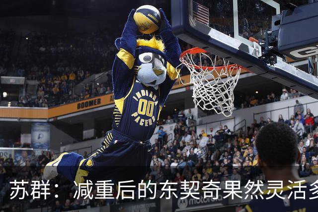 苏群：减重后的东契奇果然灵活多了 湖人这内线实在堪忧