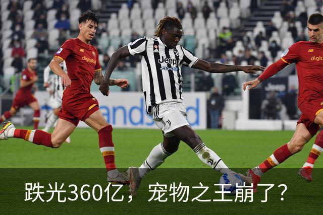 跌光360亿，宠物之王崩了？