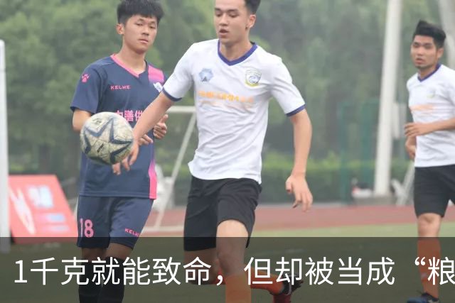 1千克就能致命，但却被当成“粮食”来食用，如今还在大量种植？